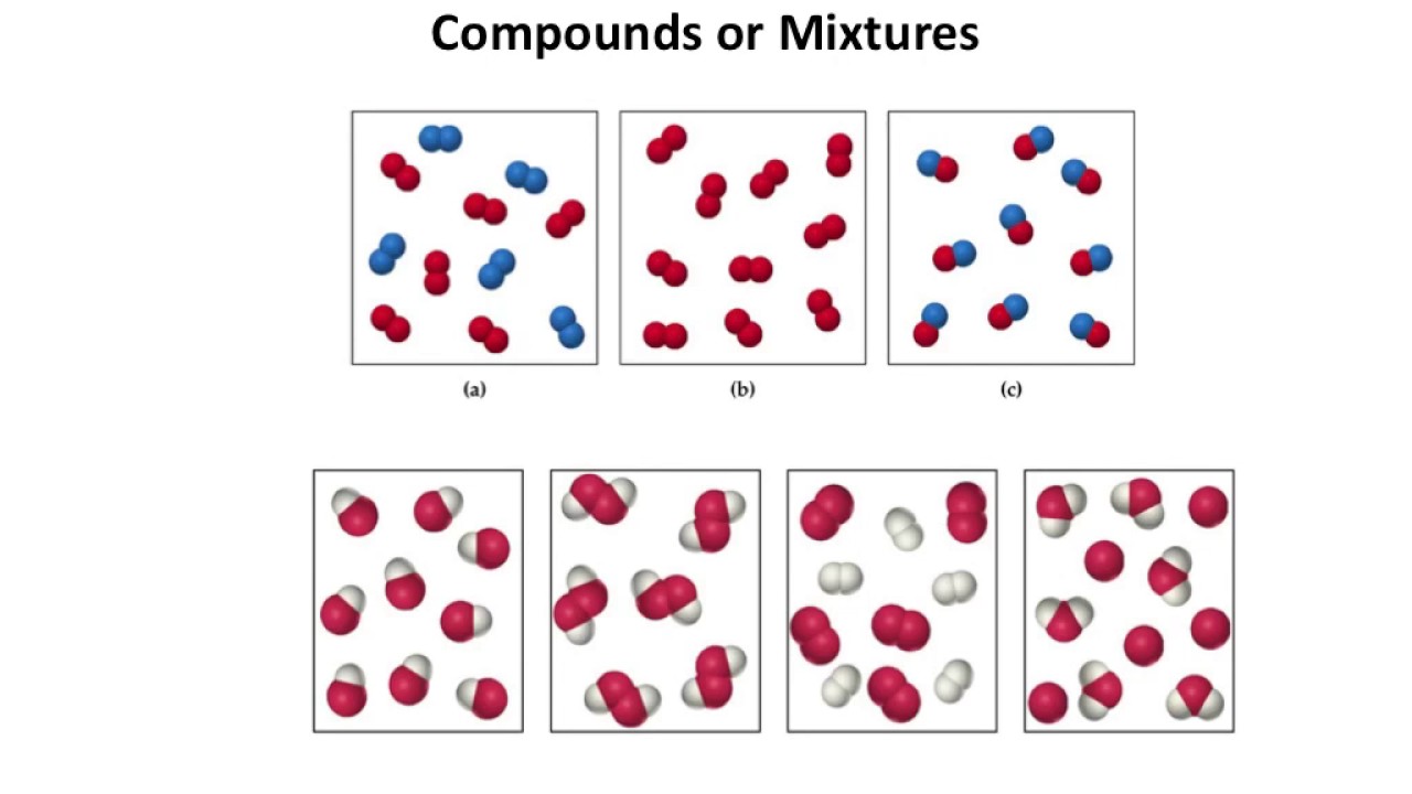 Elements Biology Banner Img