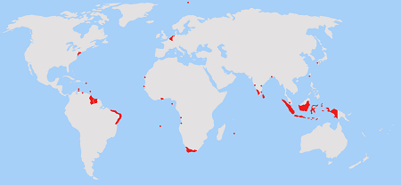 Dutch Empire Img